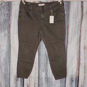 Torrid Gray Jeggings